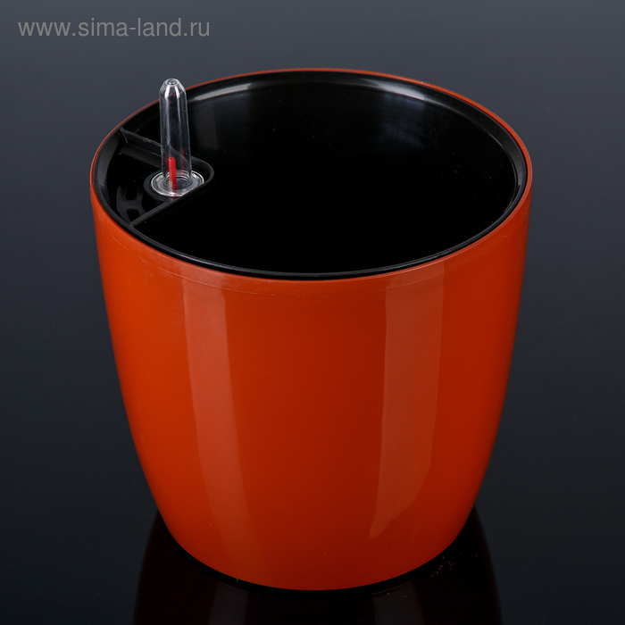 Кашпо с автополивом «Комфорт», 3,5 л, цвет глина
Кашпо с автополивом «Комфорт», 3,5 л, цвет глина