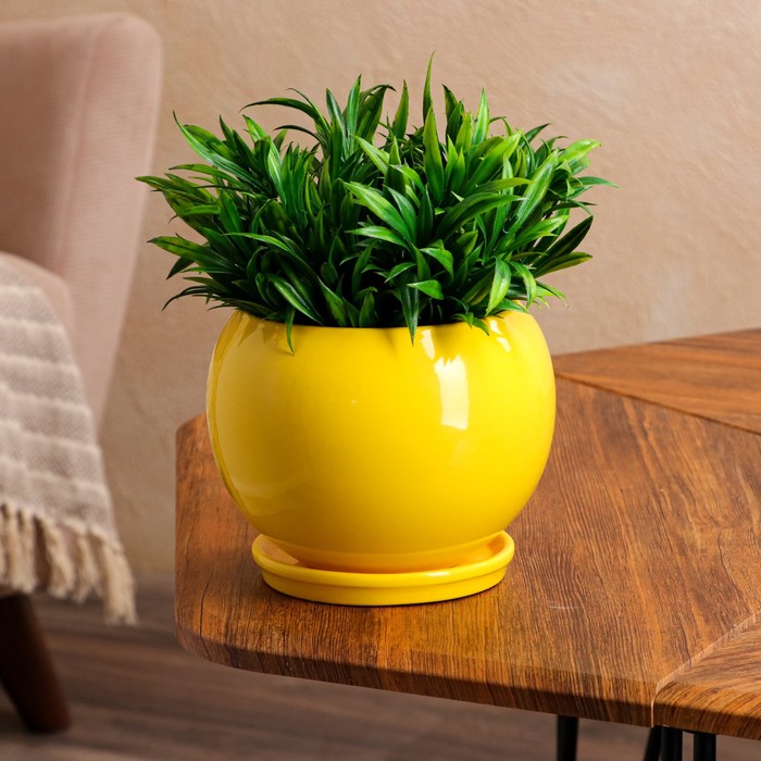 Цветочный горшок "Шар", премиум, жёлтый, керамика, 1 л
Цветочный горшок "Шар", премиум, жёлтый, керамика, 1 л