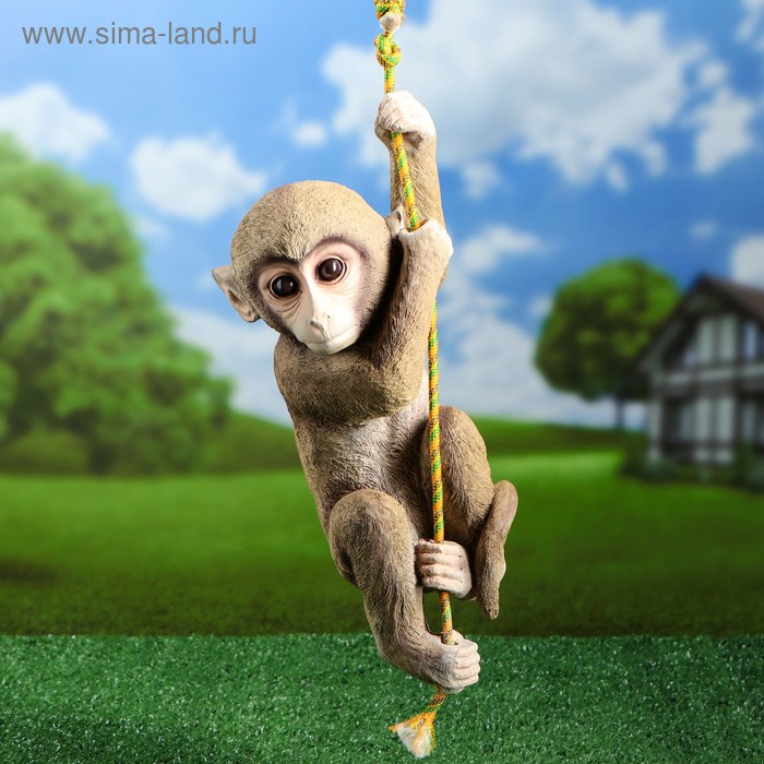 Садовая фигура подвесная "Обезьяна на верёвке", 40 см
Садовая фигура подвесная "Обезьяна на верёвке", 40 см