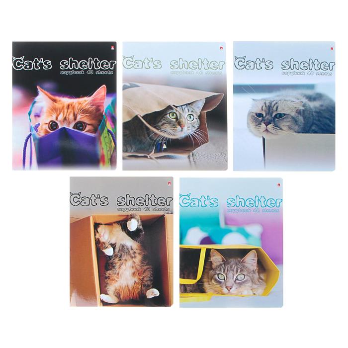 Тетрадь 48 листов в клетку «Кошкин дом», обложка мелованный картон, УФ-лак, МИКС
Тетрадь 48 листов в клетку «Кошкин дом», обложка мелованный картон, УФ-лак, МИКС