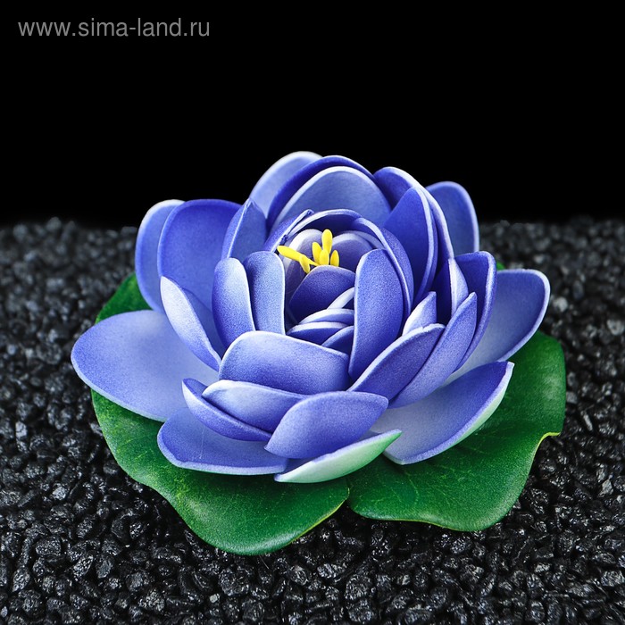 Растение аквариумное плавающее "Лотос", 10,7 х 10.3 х 4,5 см, микс цветов
Растение аквариумное плавающее "Лотос", 10,7 х 10.3 х 4,5 см, микс цветов