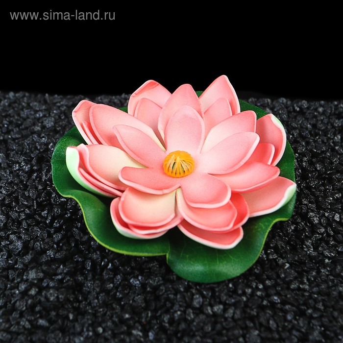 Растение аквариумное плавающее "Лотос", 10,7 х 10.3 х 3,5 см, микс цветов
Растение аквариумное плавающее "Лотос", 10,7 х 10.3 х 3,5 см, микс цветов