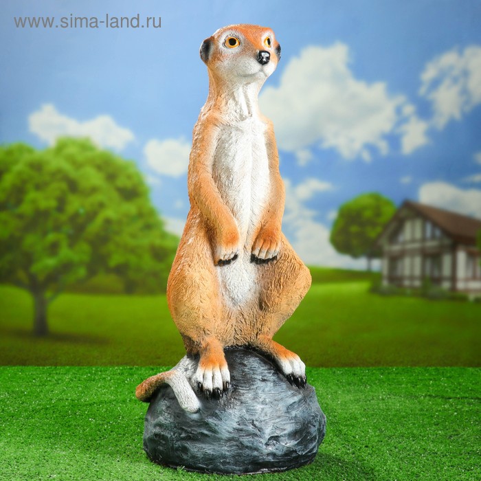 Садовая фигура "Большой сурикат на камне" 60см
Садовая фигура "Большой сурикат на камне" 60см