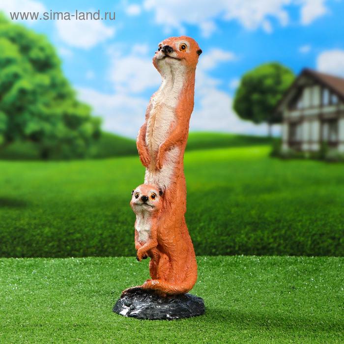 Садовая фигура "Сурикат мама" 45см
Садовая фигура "Сурикат мама" 45см