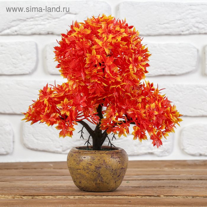 Бонсай "Дерево три шара" острые листики 8*25 см, микс
Бонсай "Дерево три шара" острые листики 8*25 см, микс