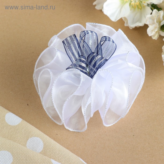 Бант для девочек с резинкой "Фиалка", белый с синими вставками, 12 см
Бант для девочек с резинкой "Фиалка", белый с синими вставками, 12 см