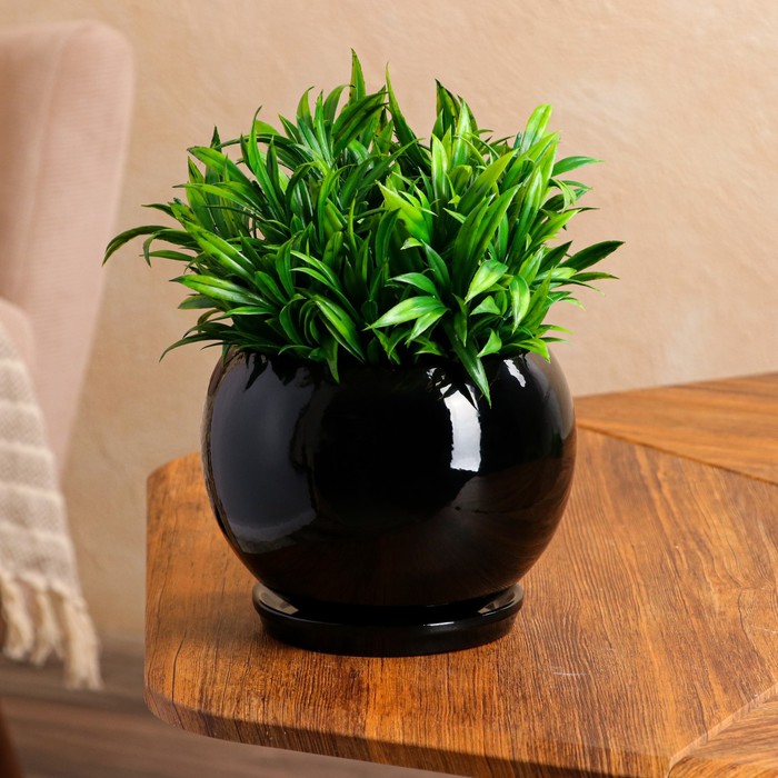 Горшок для цветов "Шар", премиум, чёрный, 1 л 
Горшок для цветов "Шар", премиум, чёрный, 1 л