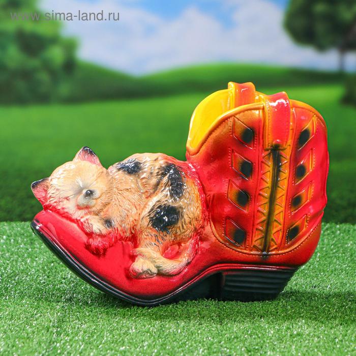 Кашпо фигурное "Сапог с кошкой", разноцветное, гипс, 22 см, 0.8 л, микс 
Кашпо фигурное "Сапог с кошкой", разноцветное, гипс, 22 см, 0.8 л, микс