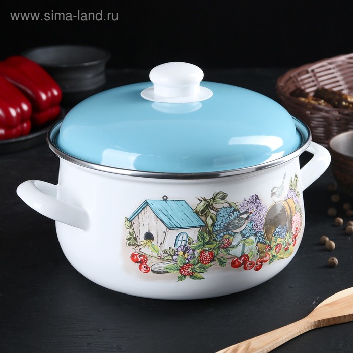 Кастрюля 4 л сфер Синички эмал. кр
Кастрюля 4 л сфер Синички эмал. кр