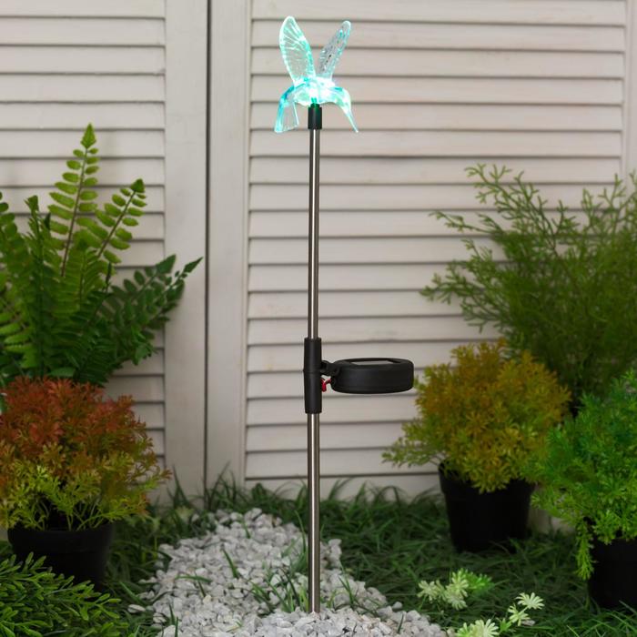 Светильник садовый на солнечных батареях TDM СС "Колибри", сталь, меняет цвет
Светильник садовый на солнечных батареях TDM СС "Колибри", сталь, меняет цвет