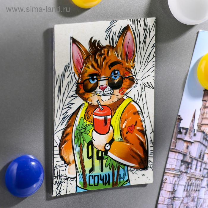 Магнит двусторонний «Сочи. Крутой кот»
Магнит двусторонний «Сочи. Крутой кот»