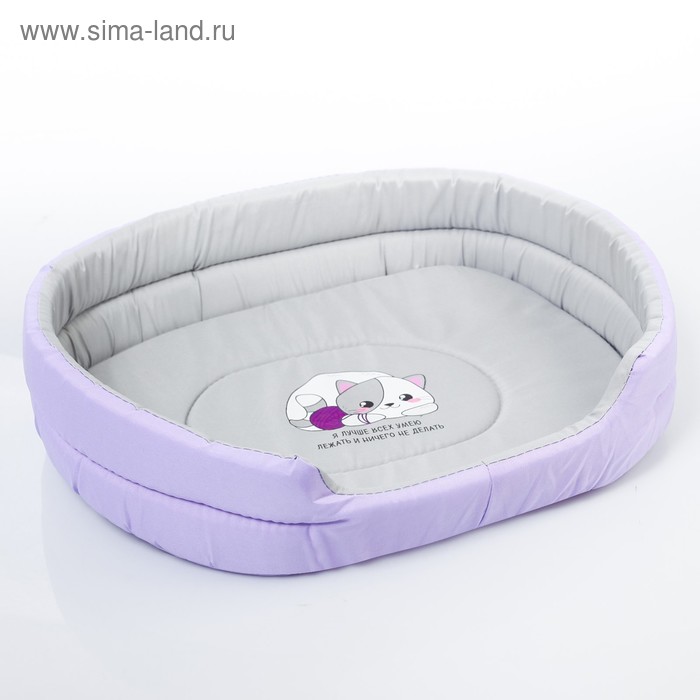 Лежанка овальная «Я лучше всех умею лежать и ничего не делать» 43х32х9,5 см 
Лежанка овальная «Я лучше всех умею лежать и ничего не делать» 43х32х9,5 см