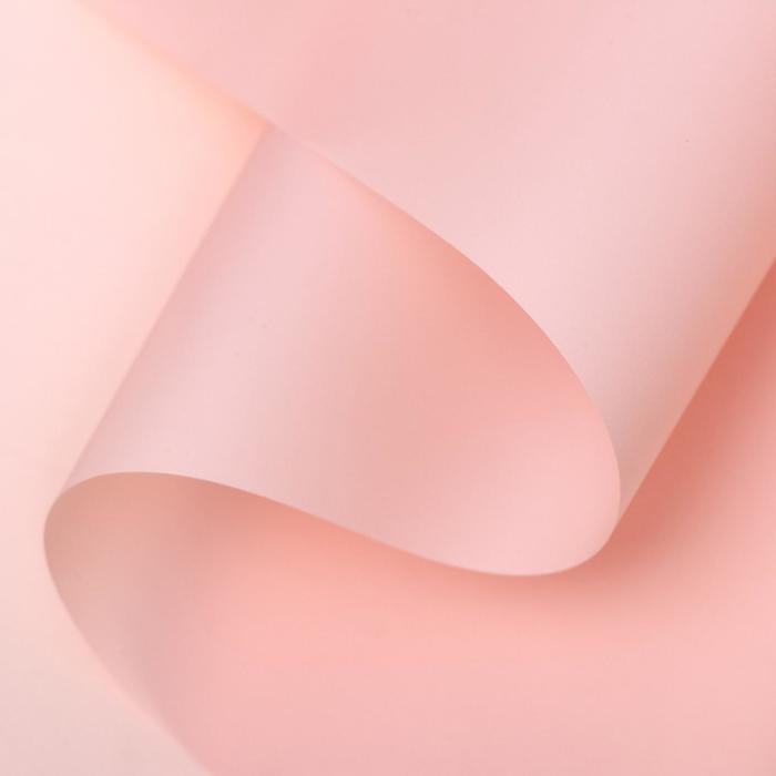 Пленка для цветов, матовая, пастельный, 0,6 х 10 м
Пленка для цветов, матовая, пастельный, 0,6 х 10 м