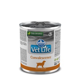 Влажный корм Farmina Vet Life Dog Convalescence для собак в период выздоровления, 300 г
Влажный корм Farmina Vet Life Dog Convalescence для собак в период выздоровления, 300 г