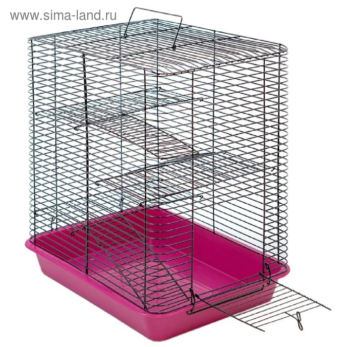 Клетка для грызунов "Дилон-4" с 3-я этажами, без наполнения, 33 х 24 х 38 см, микс цветов 
Клетка для грызунов "Дилон-4" с 3-я этажами, без наполнения, 33 х 24 х 38 см, микс цветов