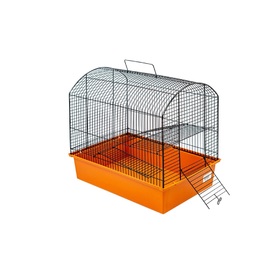 Клетка для грызунов "Заза-3" с 2-я этажами, без наполнения, 37 х 26 х 36 см, микс цветов
Клетка для грызунов "Заза-3" с 2-я этажами, без наполнения, 37 х 26 х 36 см, микс цветов