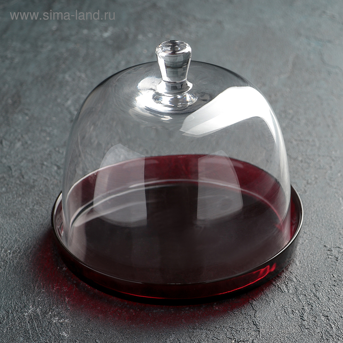 Блюдо с крышкой для торта и пирожных «Оливия», d=17 см
Блюдо с крышкой для торта и пирожных «Оливия», d=17 см