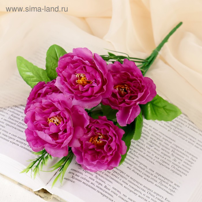 Букет "Южная роза" 26 см, микс
Букет "Южная роза" 26 см, микс