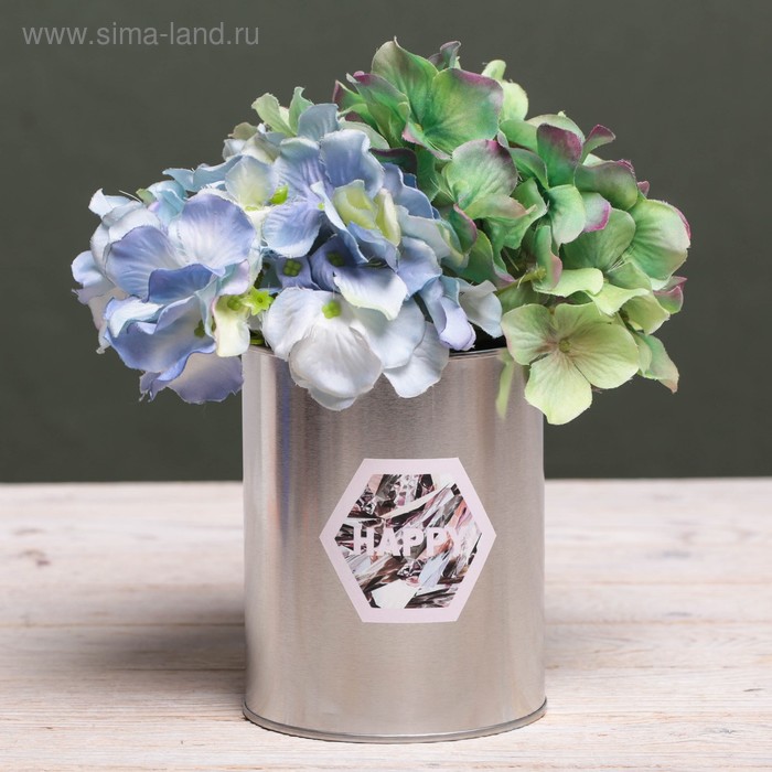 Металлическое кашпо для цветов Happy, 10 × 12.5 см
Металлическое кашпо для цветов Happy, 10 × 12.5 см