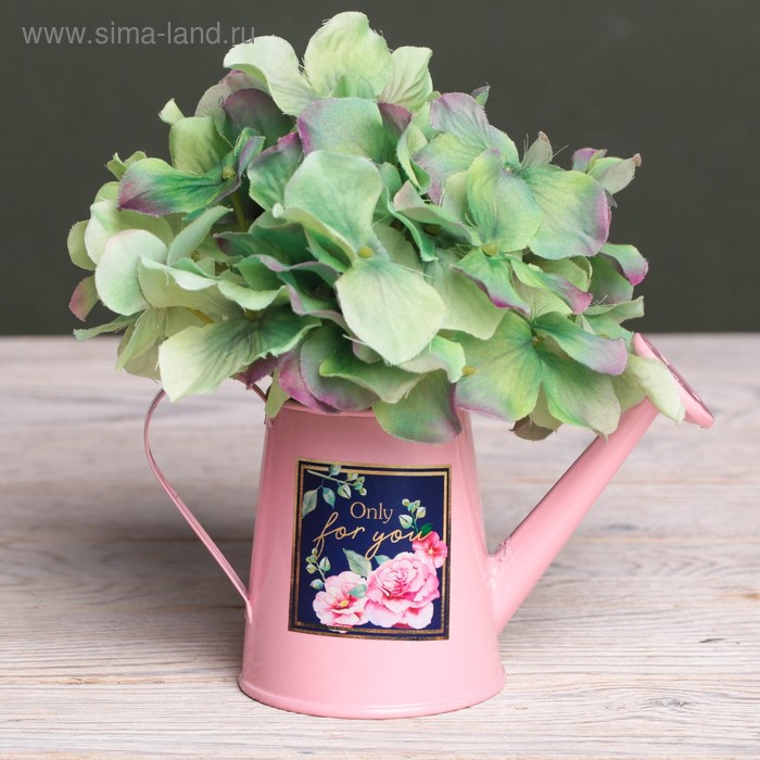 Металлическое кашпо для цветов Only for you, 15 × 7 см 
Металлическое кашпо для цветов Only for you, 15 × 7 см