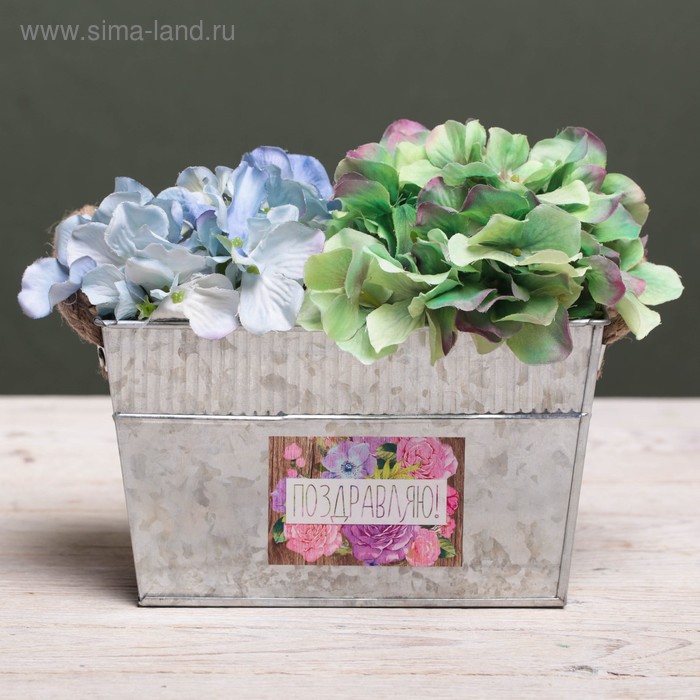 Металлическое кашпо для цветов «Поздравляю!», 20 × 12 × 12 см
Металлическое кашпо для цветов «Поздравляю!», 20 × 12 × 12 см