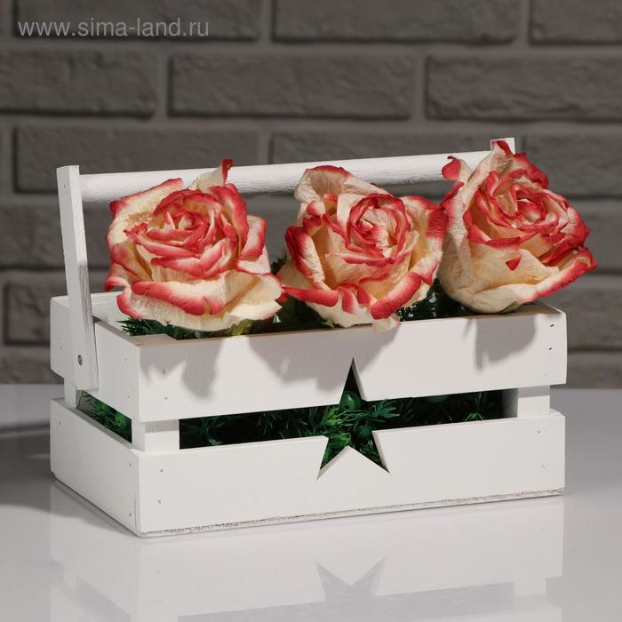 Кашпо деревянное 24.5×13.5×9 см "Двушка Лайт" двухреечное, звезда, белый Дарим Красиво
Кашпо деревянное 24.5×13.5×9 см "Двушка Лайт" двухреечное, звезда, белый Дарим Красиво