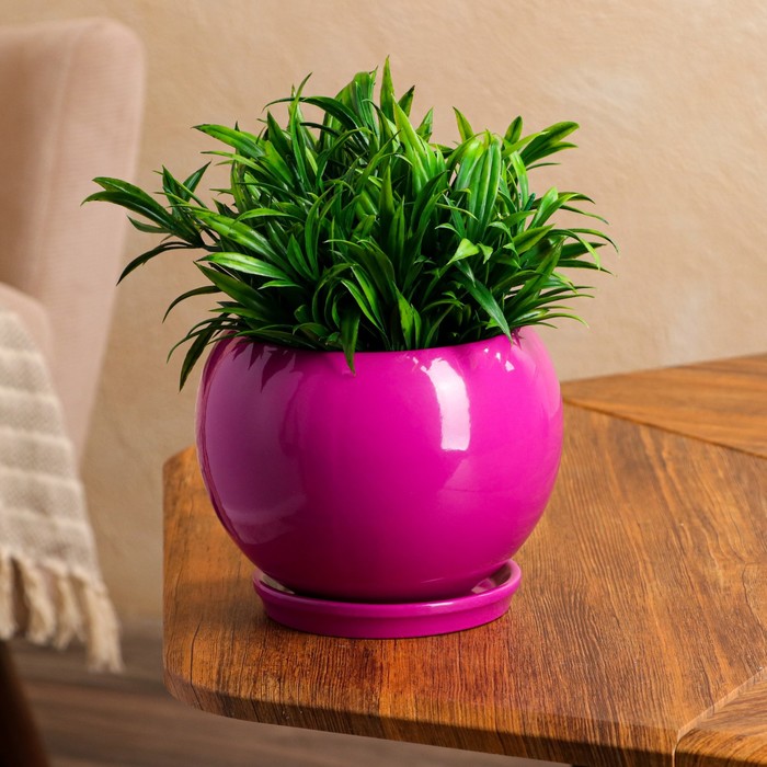 Цветочный горшок "Шар", премиум, фиолетовый, керамика, 1 л
Цветочный горшок "Шар", премиум, фиолетовый, керамика, 1 л
