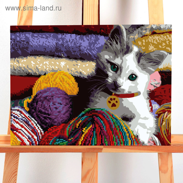 Картина по номерам с алмазной мозаикой без подрамника «Кот», 30 х 40 см
Картина по номерам с алмазной мозаикой без подрамника «Кот», 30 х 40 см