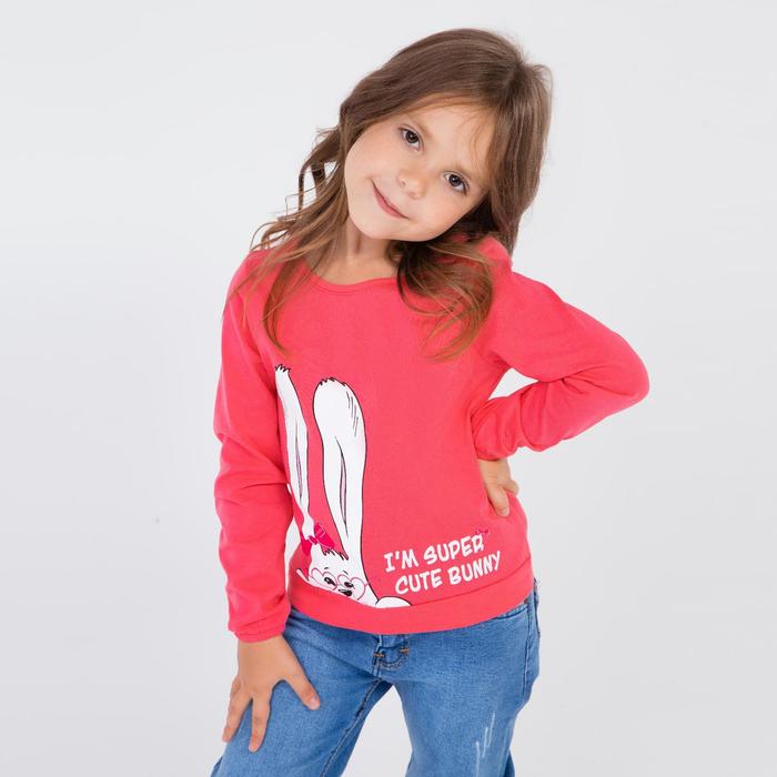 Свитшот для девочки, цвет коралловый, рост 104
Свитшот для девочки, цвет коралловый, рост 104