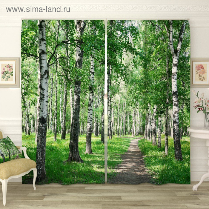 Фотошторы «Березовая аллея», размер 145 х 260 см, блэкаут
Фотошторы «Березовая аллея», размер 145 х 260 см, блэкаут