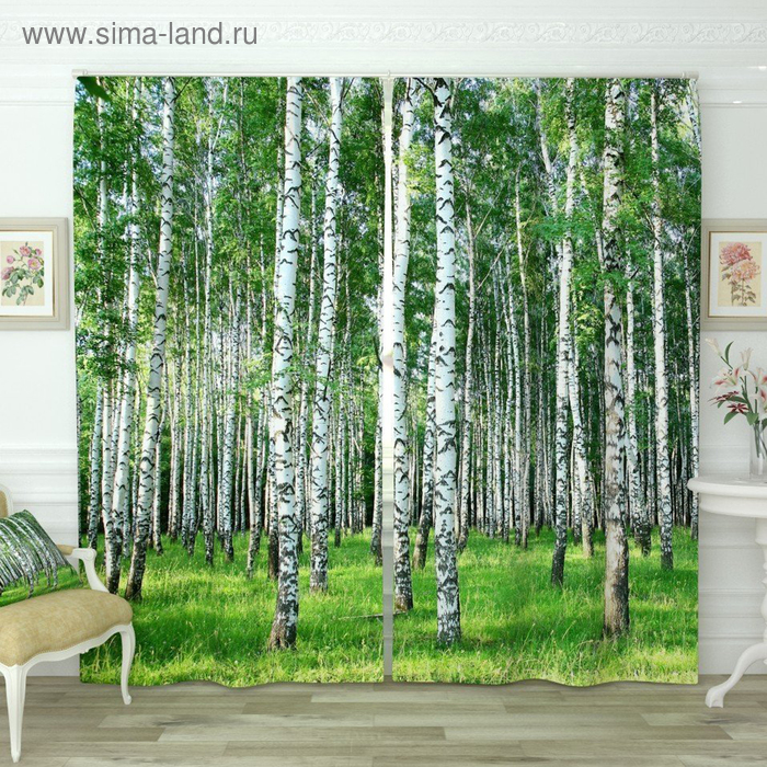 Фотошторы «Березовая роща», размер 145 х 260 см, блэкаут
Фотошторы «Березовая роща», размер 145 х 260 см, блэкаут