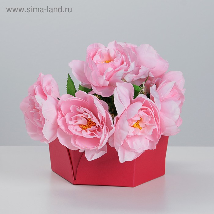 Коробка-переноска для цветов, красная, 20х20х13 см 
Коробка-переноска для цветов, красная, 20х20х13 см