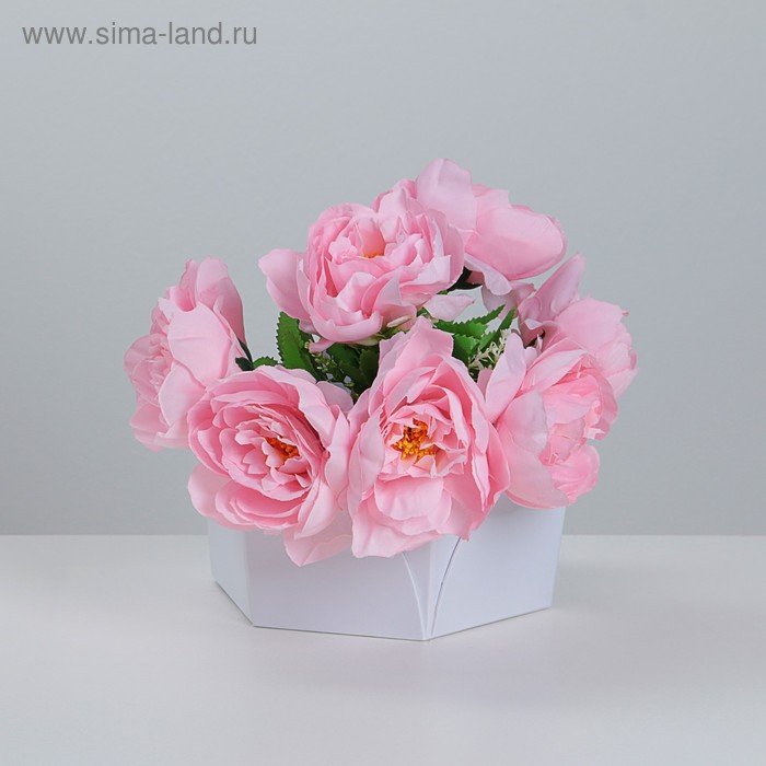 Коробка-переноска для цветов, белая, 20х20х13 см
Коробка-переноска для цветов, белая, 20х20х13 см