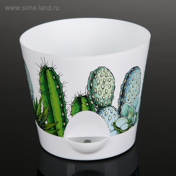 Кашпо с прикорневым поливом «Ника Деко. Кактусы», 800 мл
Кашпо с прикорневым поливом «Ника Деко. Кактусы», 800 мл