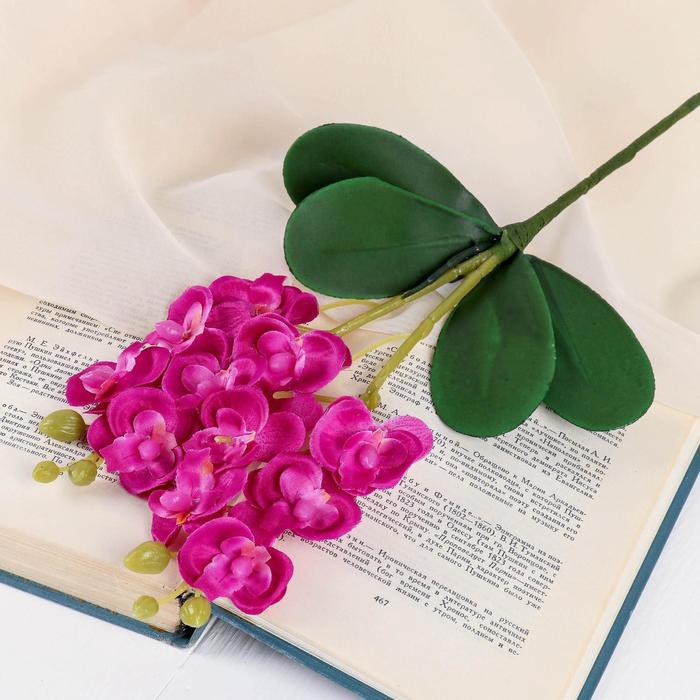 Цветы искусственные "Орхидея королевская" 3,5*28 см, сиреневый
Цветы искусственные "Орхидея королевская" 3,5*28 см, сиреневый