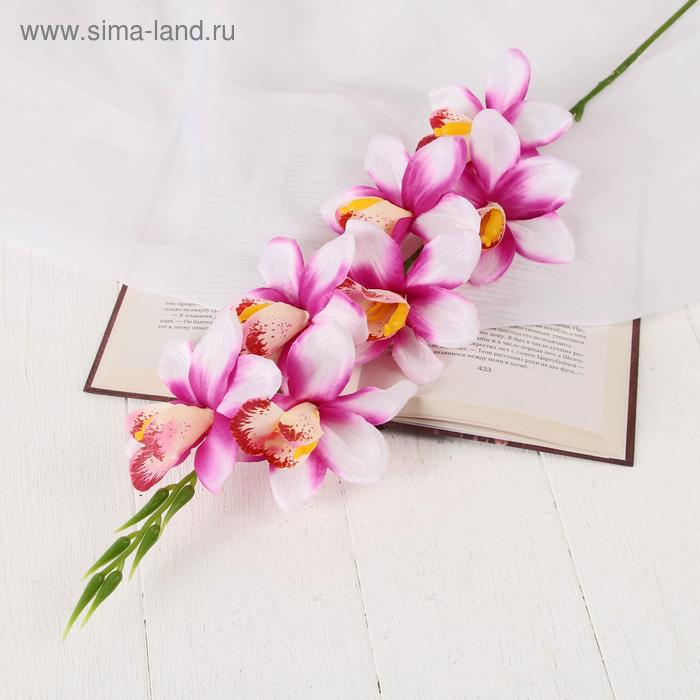 Цветы искусственные "Камбрия" 9*71 см, бело-сиреневый
Цветы искусственные "Камбрия" 9*71 см, бело-сиреневый