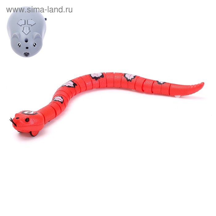 Змея радиоуправляемая «Джунгли», работает от аккумулятора, цвета МИКС
Змея радиоуправляемая «Джунгли», работает от аккумулятора, цвета МИКС