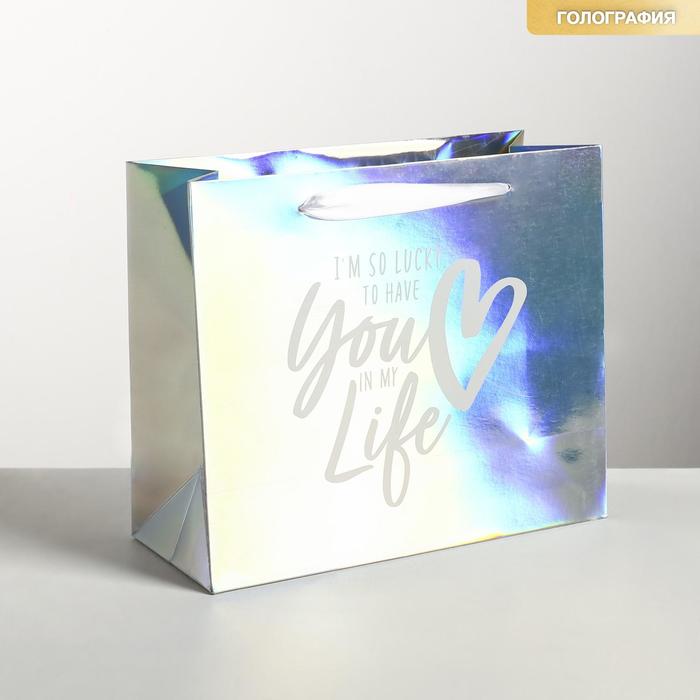 Пакет ламинированный горизонтальный «Сияй», ML 27 × 23 × 11.5 см
Пакет ламинированный горизонтальный «Сияй», ML 27 × 23 × 11.5 см