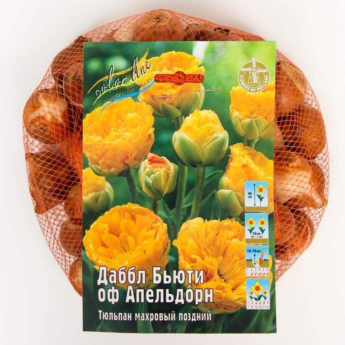 фото Тюльпан "даббл бьюти оф апельдорн" 45см, р/р 11/12, сетка 50 шт colorline