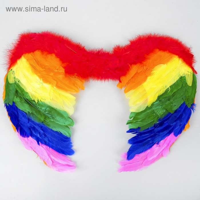 Крылья ангела, на резинке, 45×60 см
Крылья ангела, на резинке, 45×60 см