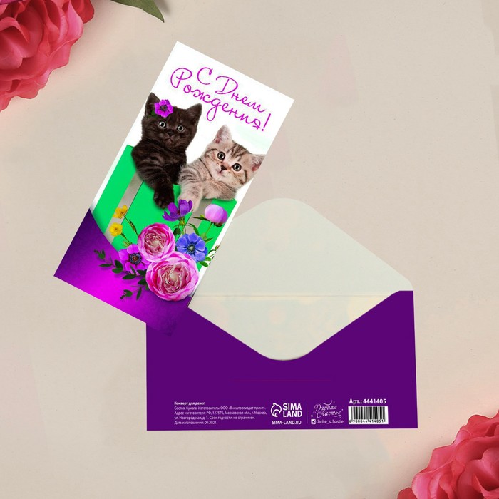 Конверт для денег «С Днём рождения!» котики, 16.5 × 8 см
Конверт для денег «С Днём рождения!» котики, 16.5 × 8 см