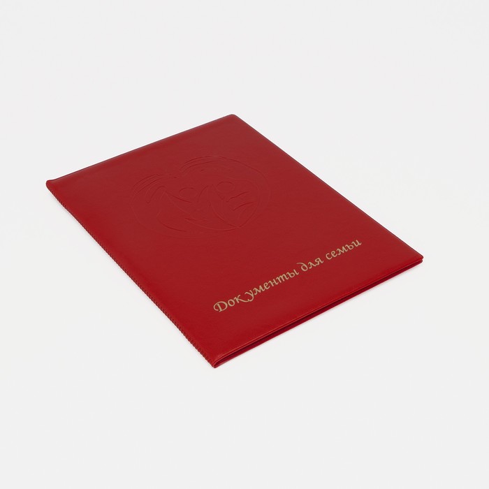Папка для документов, 1 комплект, цвет красный
Папка для документов, 1 комплект, цвет красный