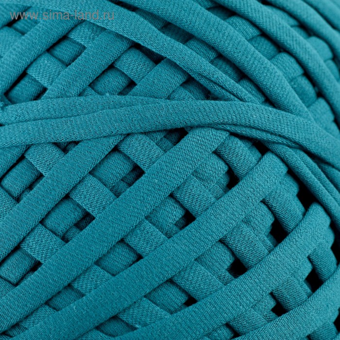 Пряжа трикотажная широкая "Saltera" 100м/300гр, ширина 7-9 мм (65 петроль)
Пряжа трикотажная широкая "Saltera" 100м/300гр, ширина 7-9 мм (65 петроль)