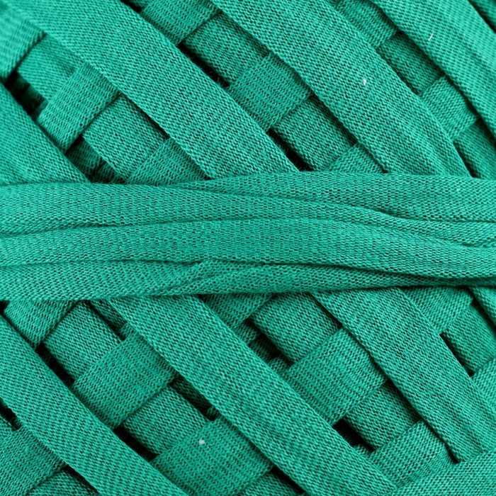 Пряжа трикотажная широкая "Saltera" 100м/300гр, ширина 7-9 мм (57 изумруд)
Пряжа трикотажная широкая "Saltera" 100м/300гр, ширина 7-9 мм (57 изумруд)