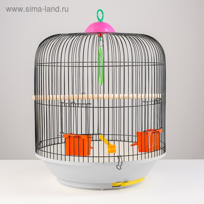 Клетка для птиц круглая, двухъярусная сварная, большой поддон, 39 x 44 см, микс цветов
Клетка для птиц круглая, двухъярусная сварная, большой поддон, 39 x 44 см, микс цветов