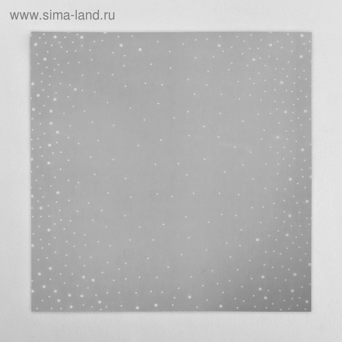 Калька декоративная «Снег» 30,5 х 30,5 см
Калька декоративная «Снег» 30,5 х 30,5 см