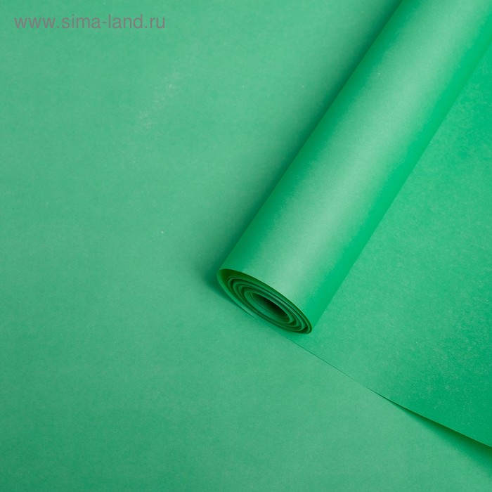 Бумага для декора и флористики, крафт, двусторонняя, салатовая, зеленая, однотонная, рулон 1шт., 0,5 х 10 м
Бумага для декора и флористики, крафт, двусторонняя, салатовая, зеленая, однотонная, рулон 1шт., 0,5 х 10 м