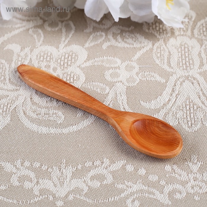 фото Ложка для специй вид 1, 11см, можжевельник