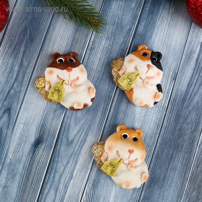 Магнит полистоун "Хомячок с монетками и купюрами" МИКС 2,3х4,7х5,7 см
Магнит полистоун "Хомячок с монетками и купюрами" МИКС 2,3х4,7х5,7 см