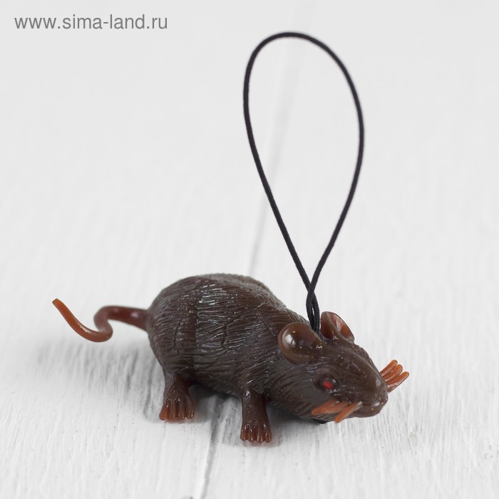 Прикол «Мышь», резиновая, цвет коричневый
Прикол «Мышь», резиновая, цвет коричневый